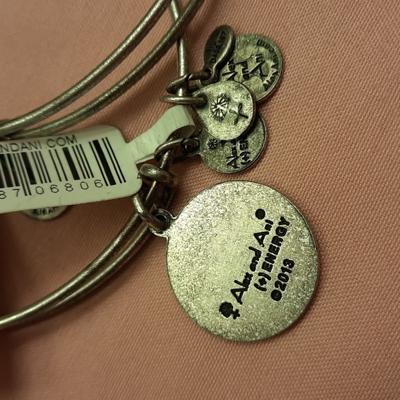 NWT, Bundle of 2 Alex and Ani Air U.S. Air Force Bracelet - Picture 6 of 12